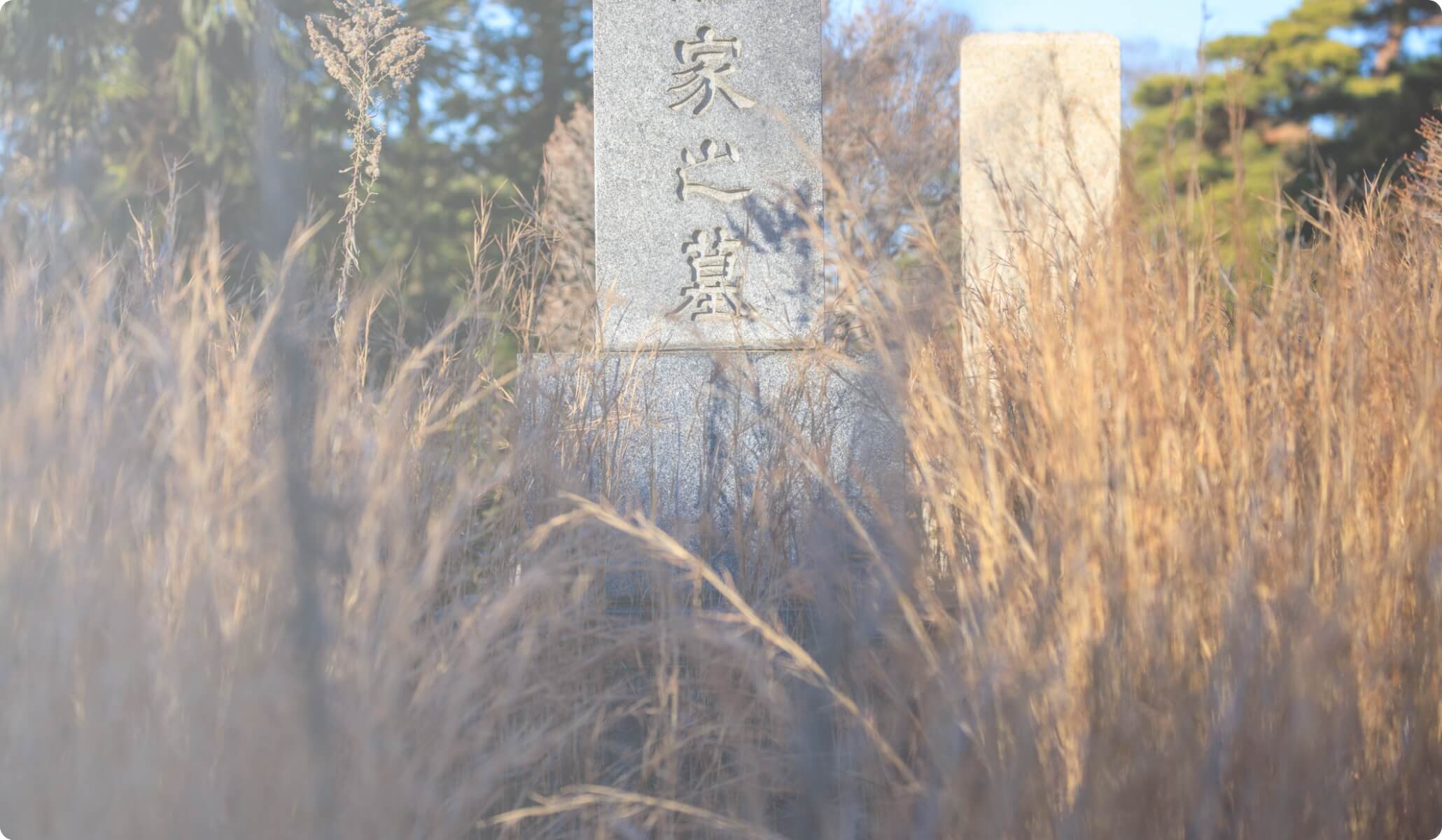 お墓じまい・移転に関して